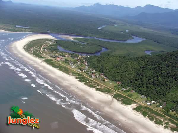 Junglez Eco Hostel Guarau Ngoại thất bức ảnh