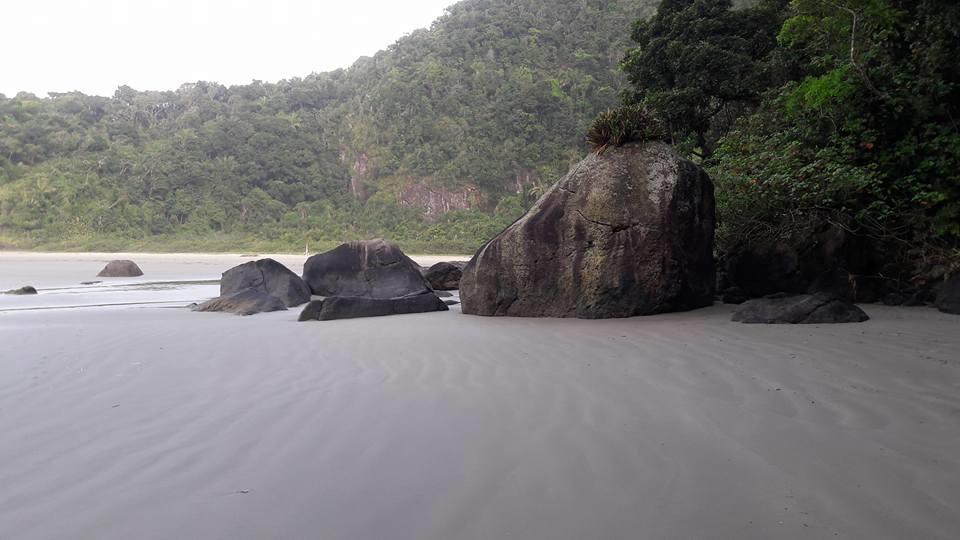 Junglez Eco Hostel Guarau Ngoại thất bức ảnh